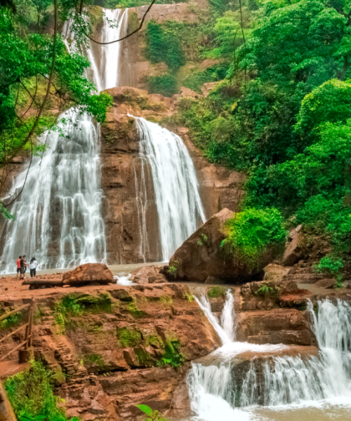 modelo6-1024x683 (1)